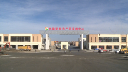 完成到位資金近70億元！1-10月奎屯市招商引資成效顯著，糧油倉儲服務產業引關注